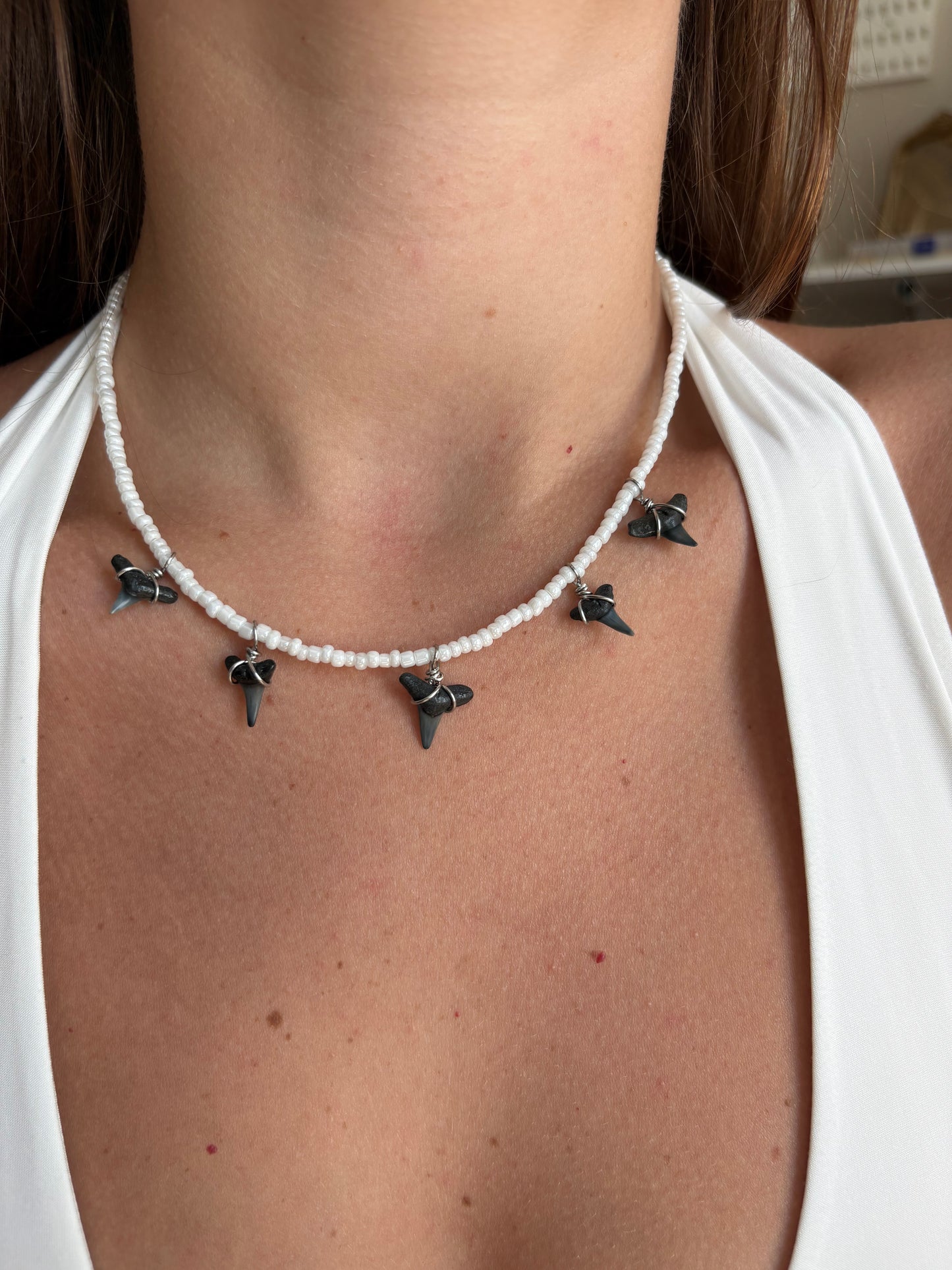 Shark Tooth Charm Necklace