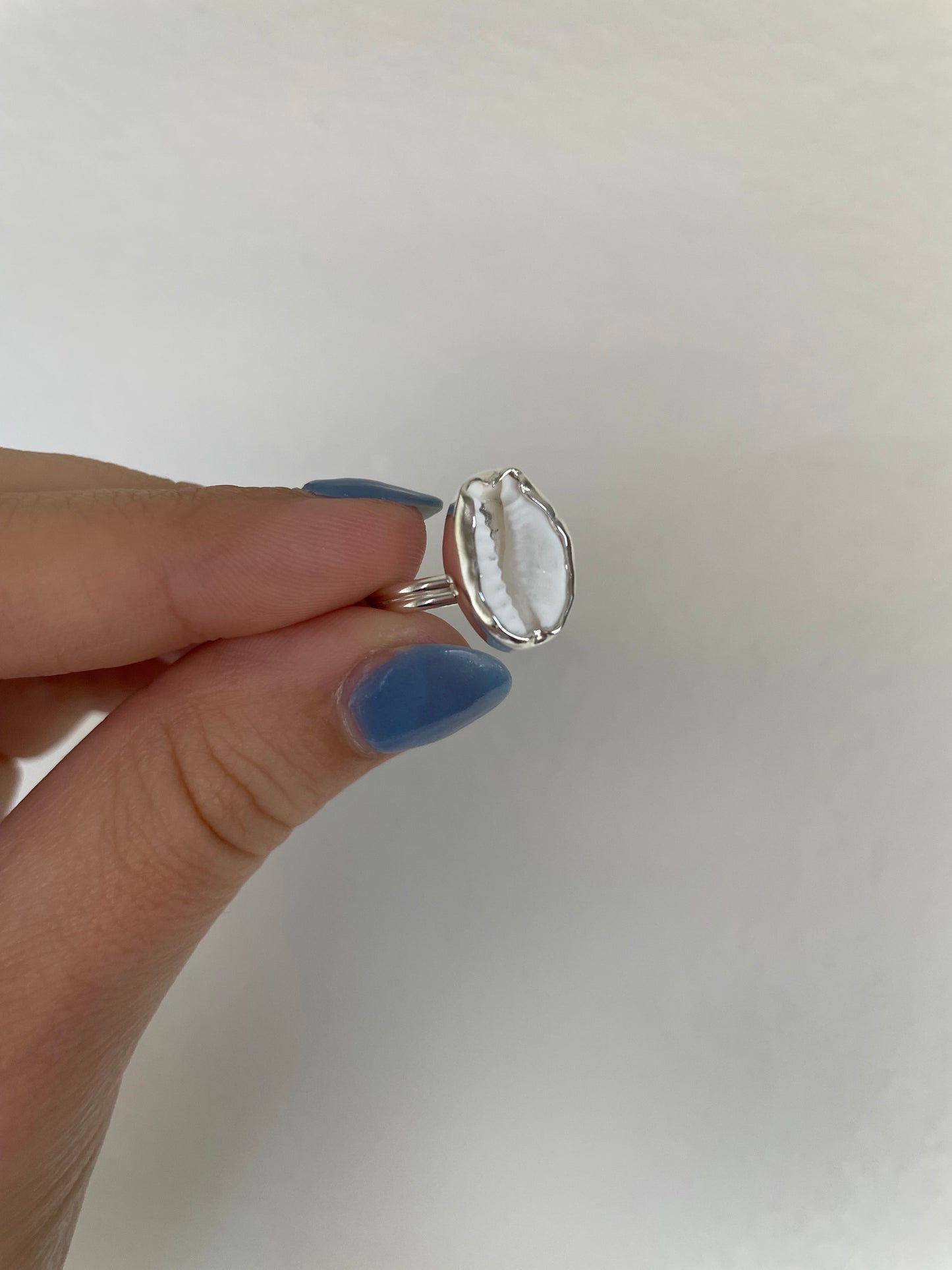 Small cowrie ring (s 6.25)