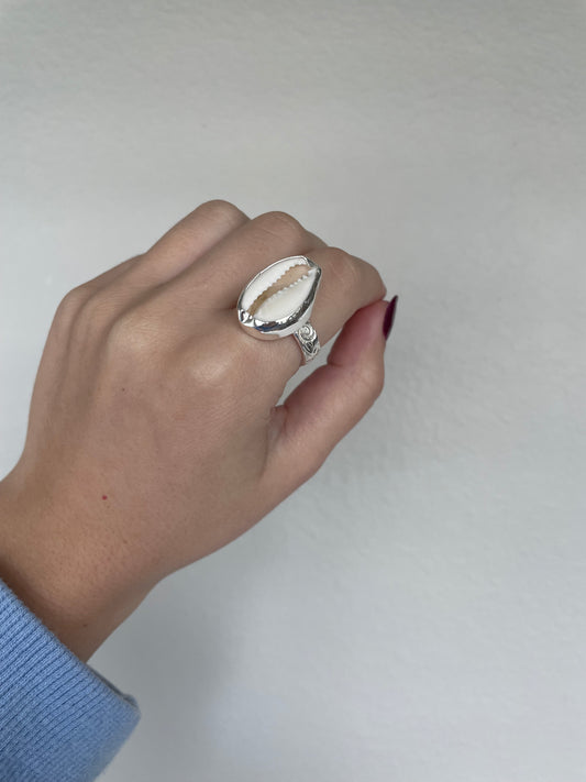 Big cowrie ring (s8.5)