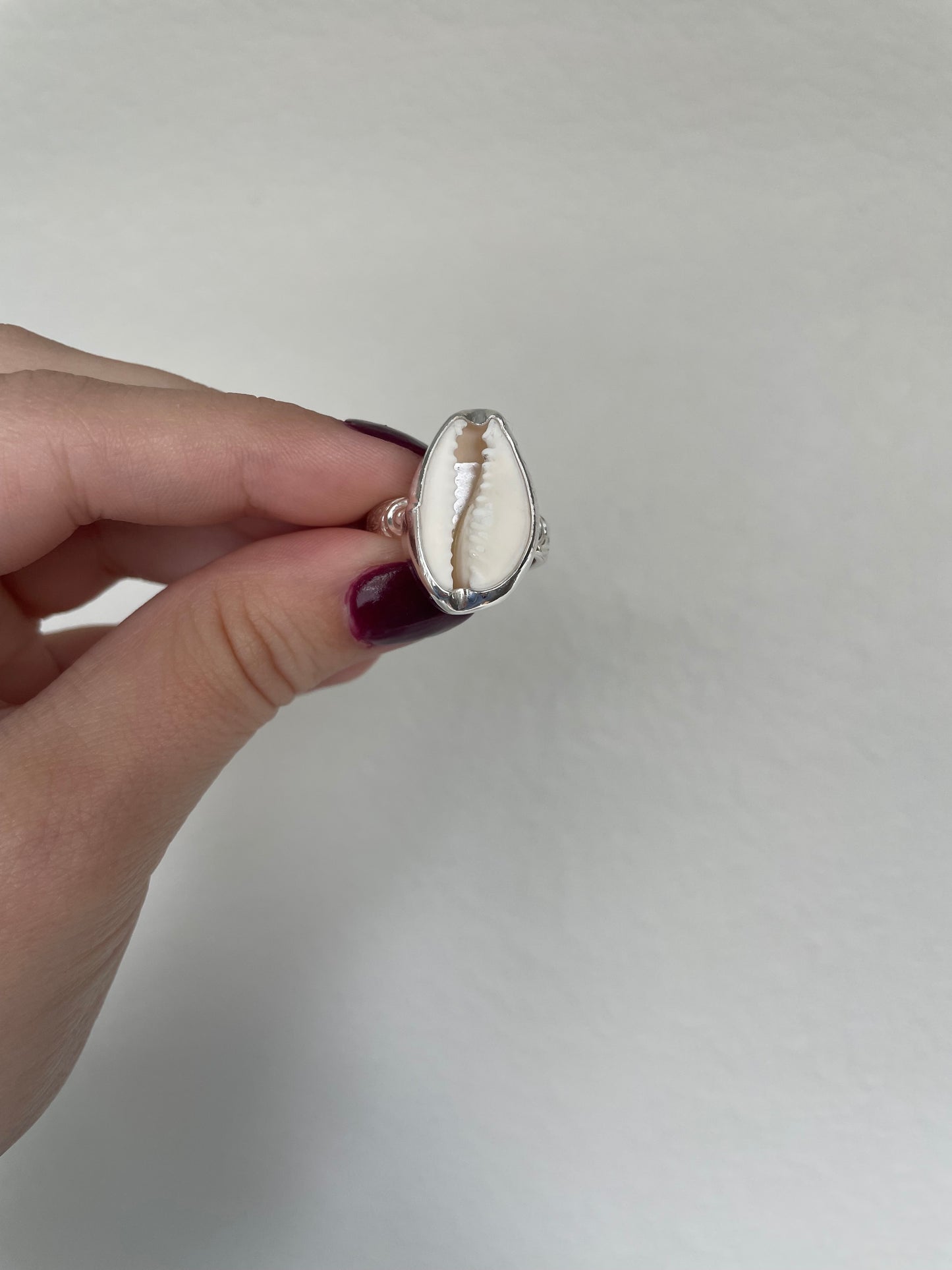 Big cowrie ring (s8.5)