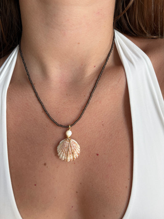 Mini brown siren scallop